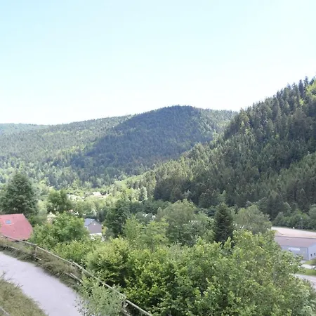Chalet Le Bruleux La Bresse Buitenkant foto