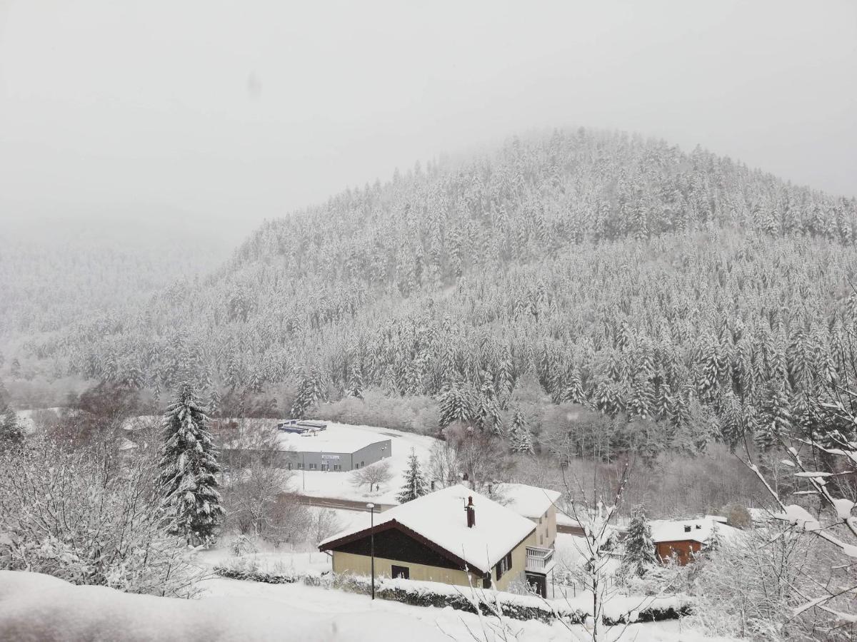 Le Bruleux Chalet La Bresse